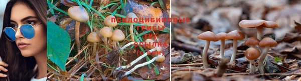 амфетамин Арсеньев