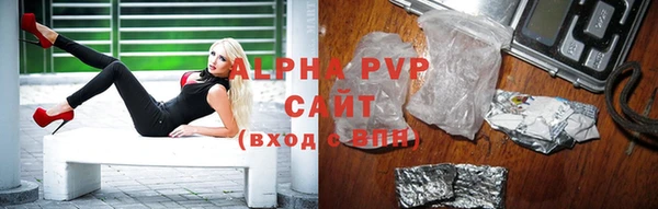 apvp Алзамай